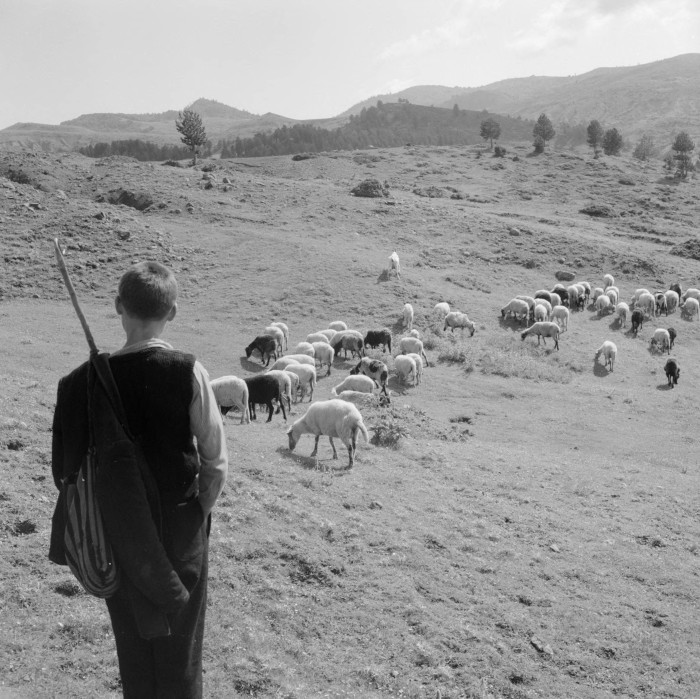 Μέτσοβο 1950/1960. Φωτογραφία των Clarence Woodrow Sorensen (1907-1982) & Eugene Vernon Harris (1913-1978)