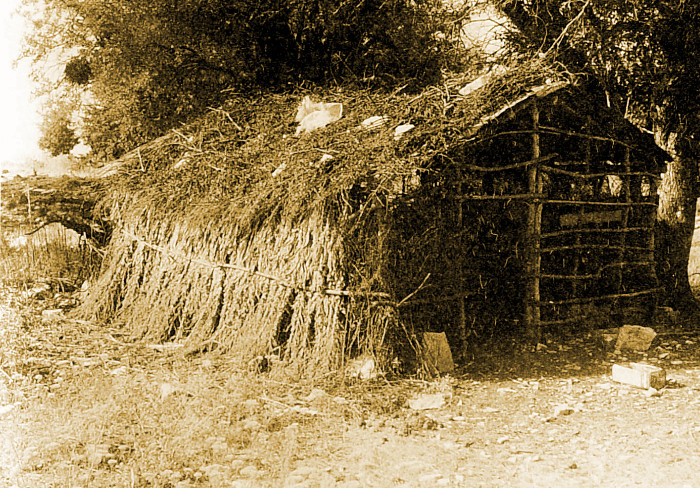 Καλύβα από χόρτα που χρησιμεύει για μπατζαριό (τυροκομείο) στη Νεμέρτσικα